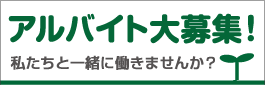 一緒に働きませんか？